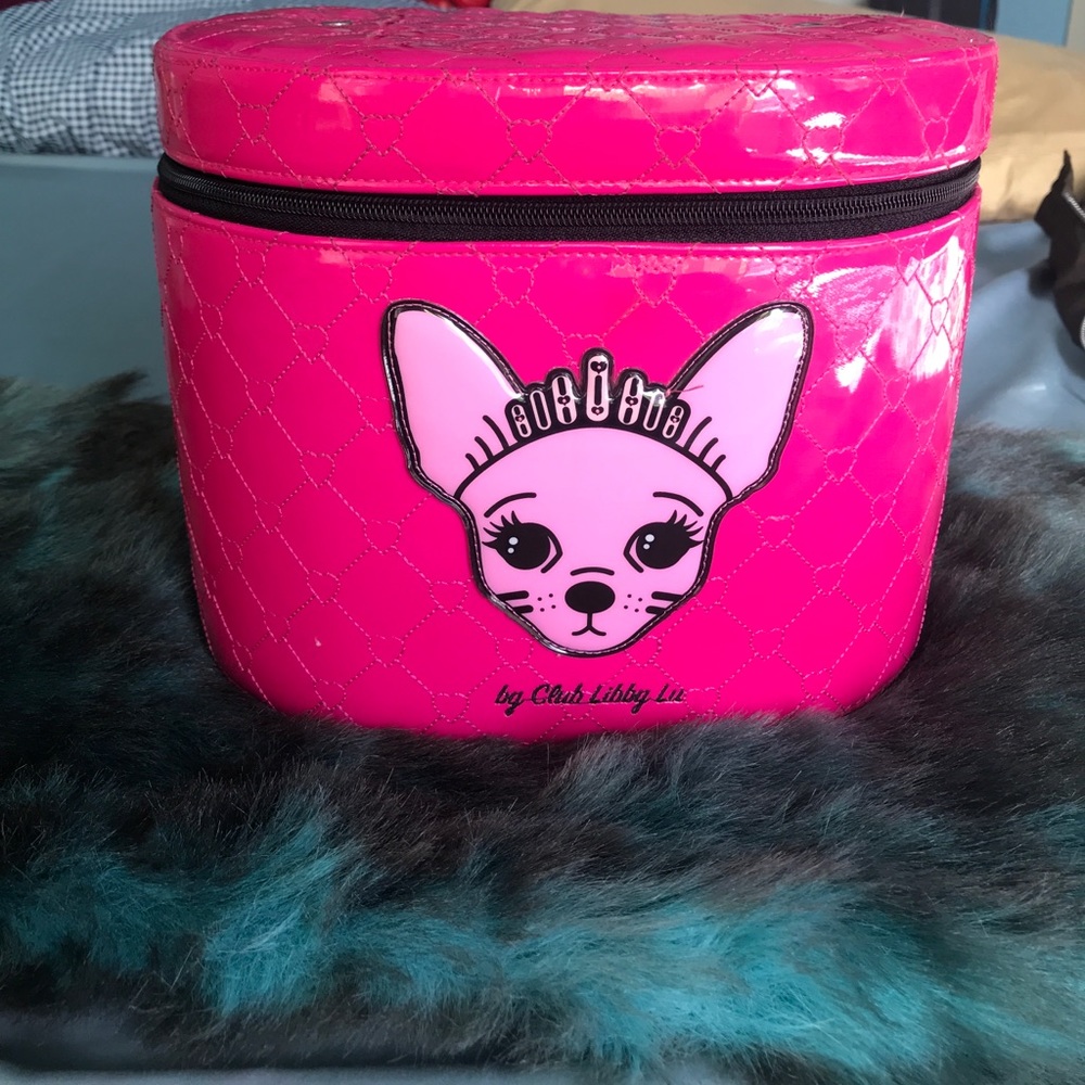 Make up case