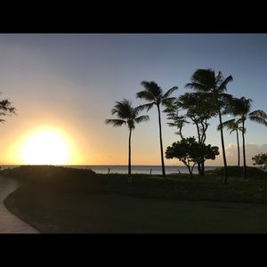 Meet your Posher, Darla