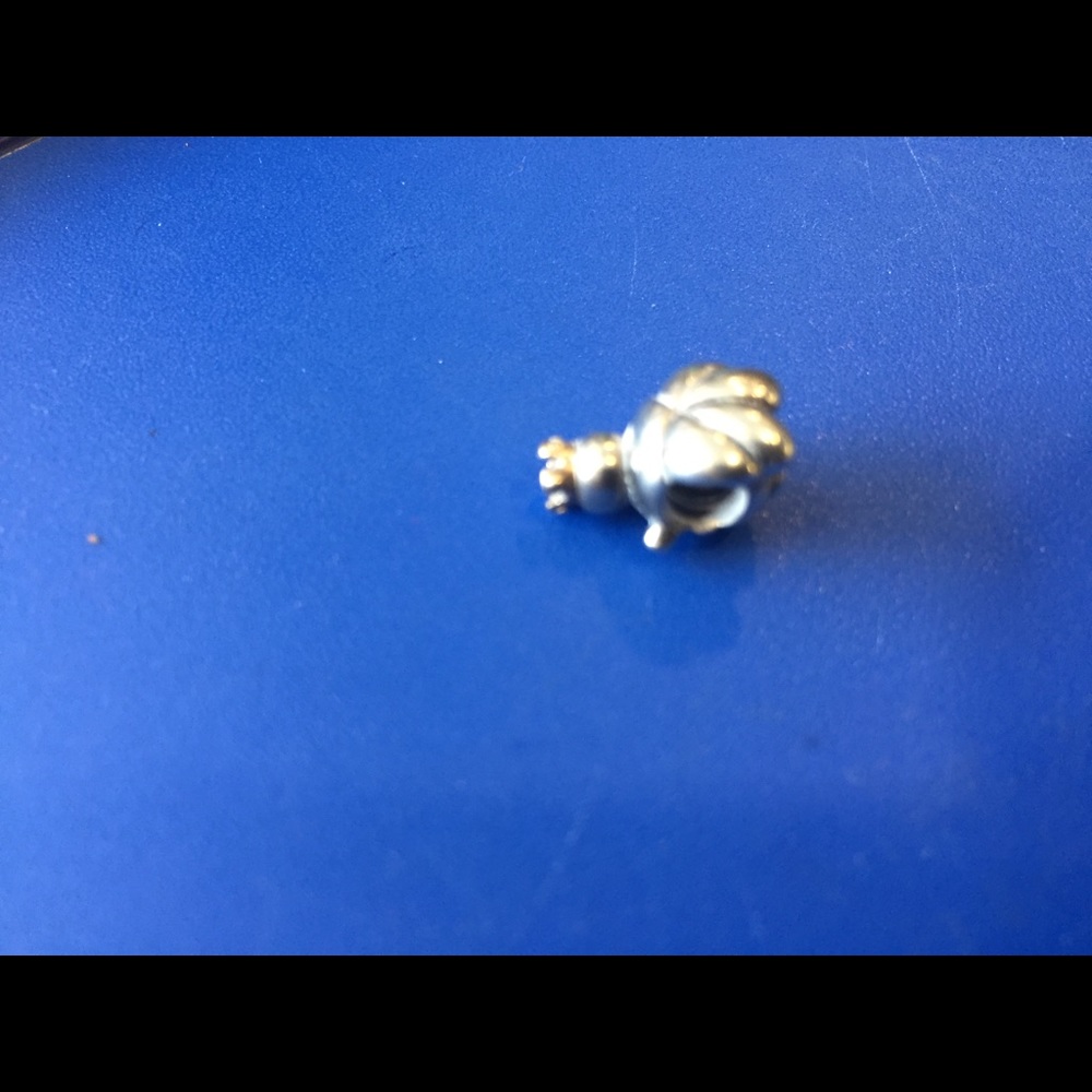 Pandora turtle charm