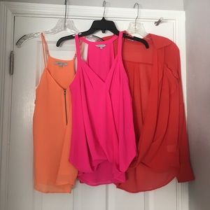 Vici - Naked Zebra Triple Top Bundle