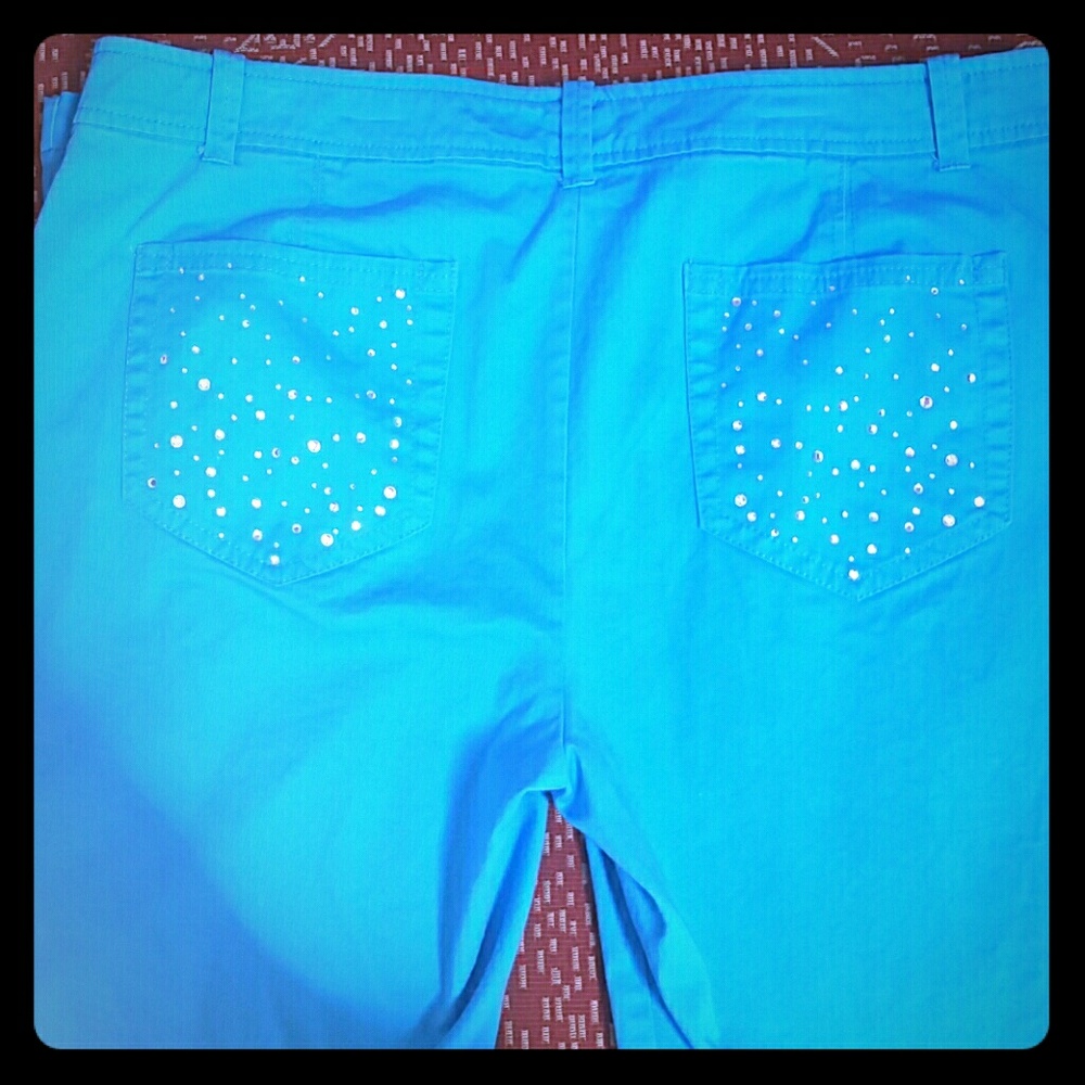 NEW YORK  & CO Teal Pants