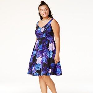 City Chic Floral Fit + Flare Dress, 22W City Chic Floral Fit + Flare Dress, 22W