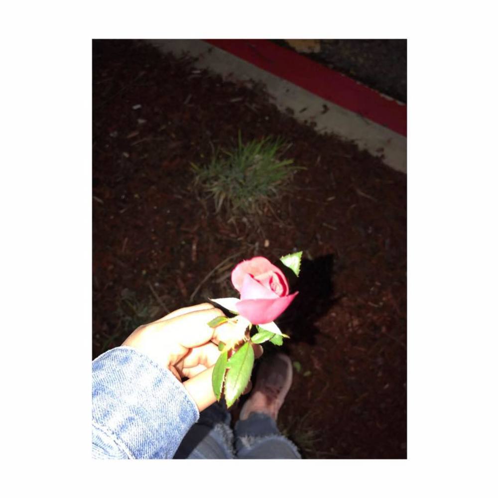 Meet your Posher, Martita