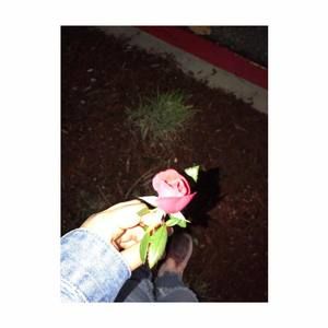 Meet your Posher, Martita