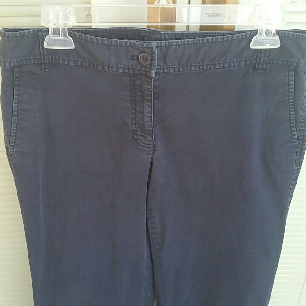ANN TAYLOR Blue Pants