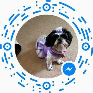 Meet your Posher, Judy