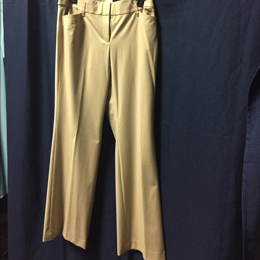 Ann Taylor Pants