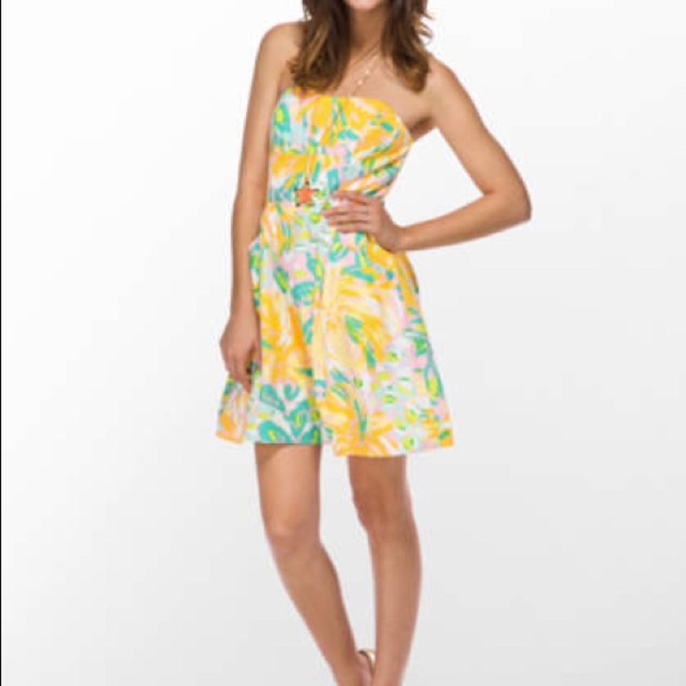 Lilly Pulitzer Blossom Dress