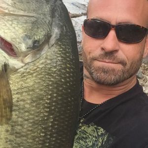 Meet your Posher, Frank