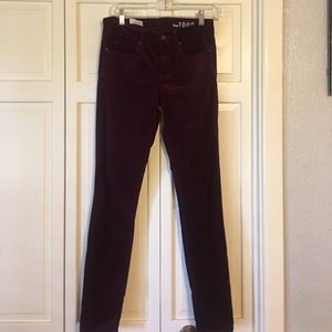 Velvet Skinny Pants