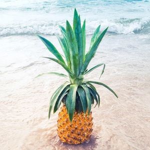 Meet your Posher, Jay