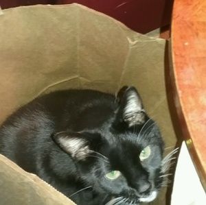 Meet your Posher, Diane