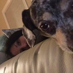 Meet your Posher, Nancy