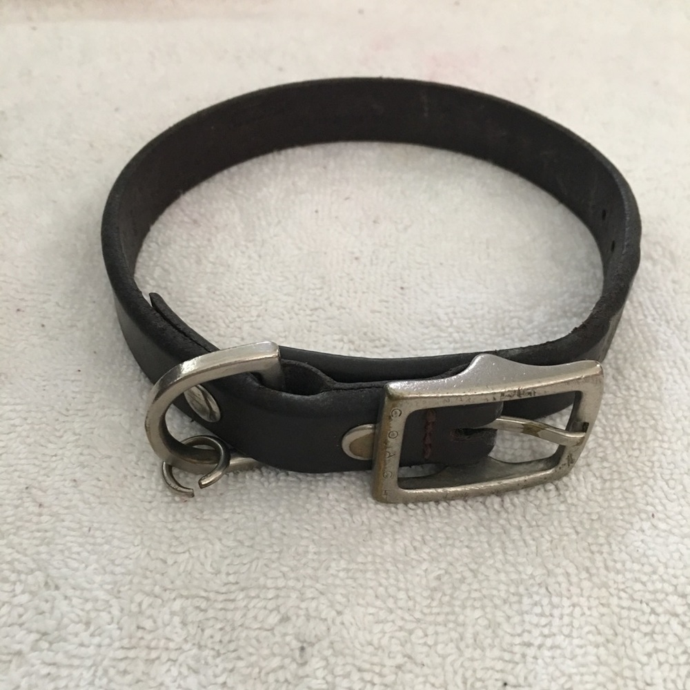 Coach Leather Dog Collar 🐶