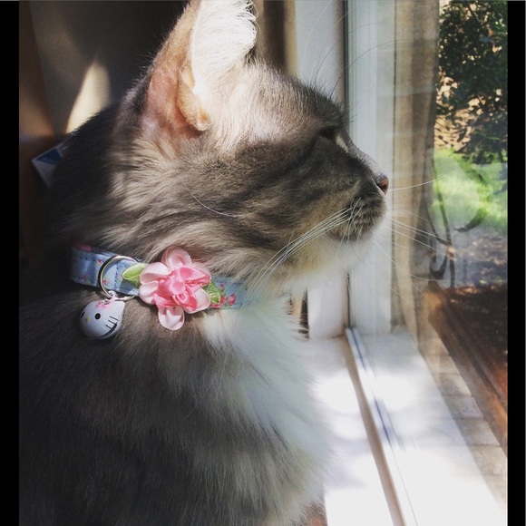 Meet your Posher, Y - Picture 2 of 4