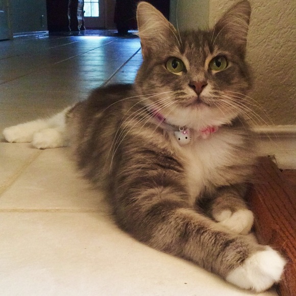 Meet your Posher, Y - Picture 3 of 4