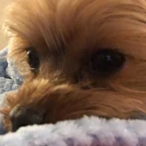 Meet your Posher, Jolene