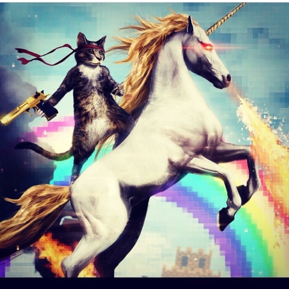 Meet your Posher Heath - Picture 4 of 4