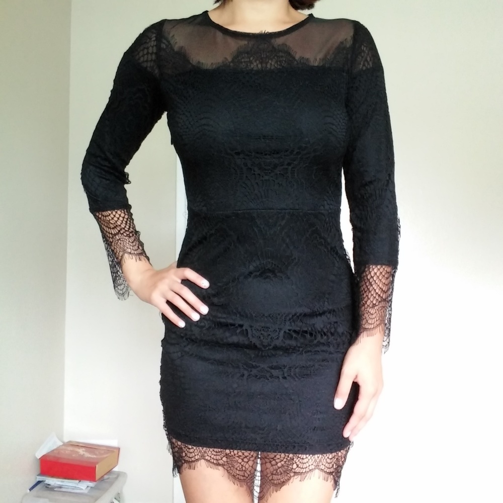 ⭐SOLD⭐Mesh and Lace Long Sleeve Bodycon Dress