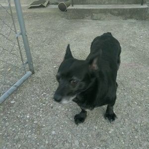 Meet your Posher, Ray