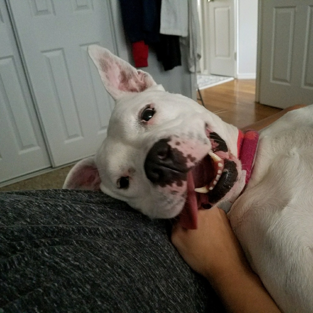 Meet your Posher, Carlo