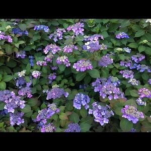 Meet your Posher, Abigail