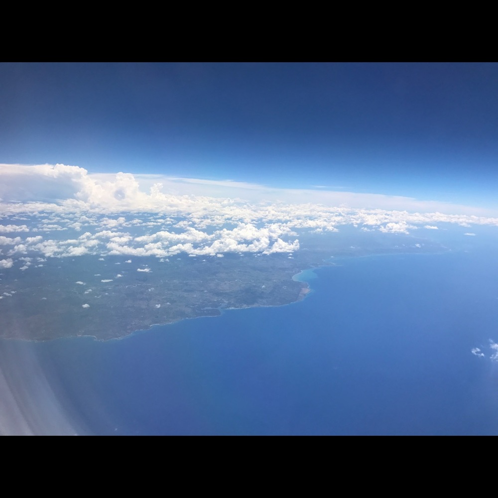 Meet your Posher, Angelica