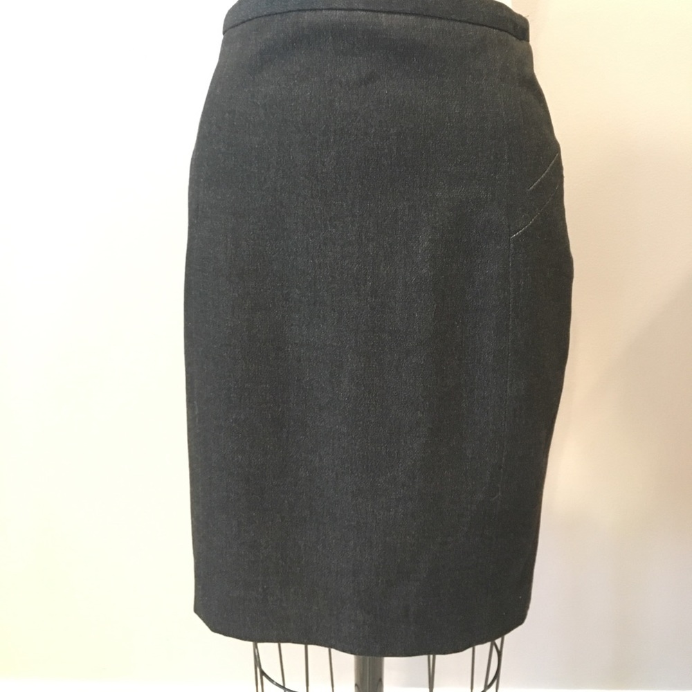 Express Pencil Skirt