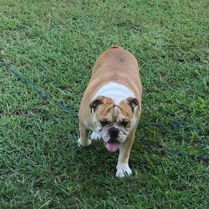 Meet your Posher, Mallory