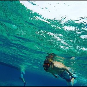 Meet your Posher, Gavin