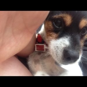 Meet your Posher, Jasmine