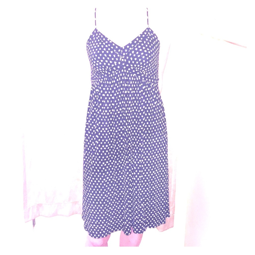 Ann Taylor Loft Polka Dot Dress