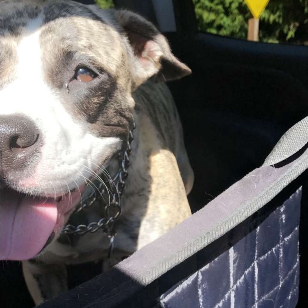 Meet your Posher, Marissa