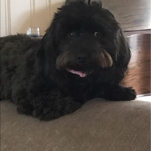 Meet your Posher, Mary