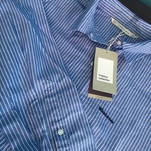 Zara Blue Striped Button Down