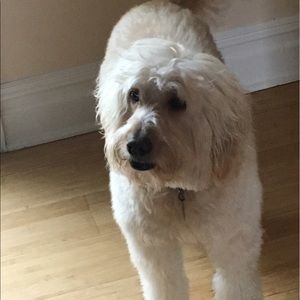 Meet your Posher, Edmond