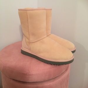 Brand New Short Pink Uggs size 8