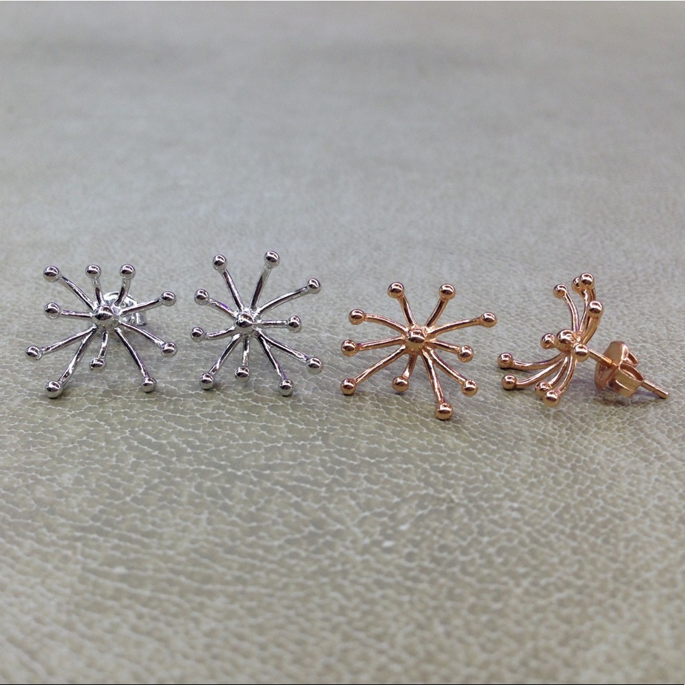 Dots and lines. Silver Earrings