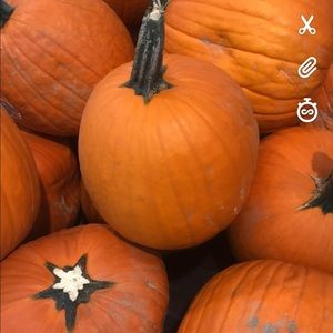 Meet your Posher, Dylan