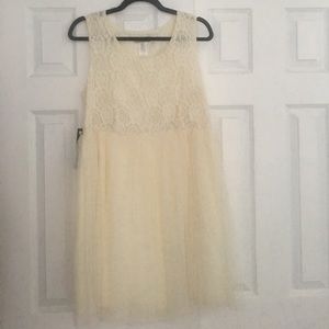 Creme colored lace and tulle dress