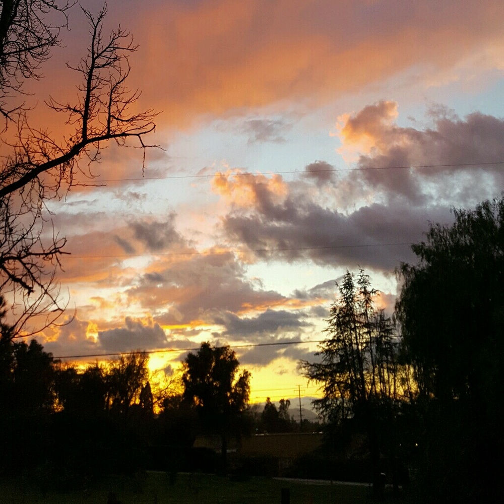 Meet your Posher, Phillip