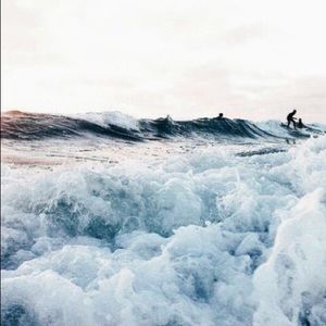 Meet your Posher, Annsley