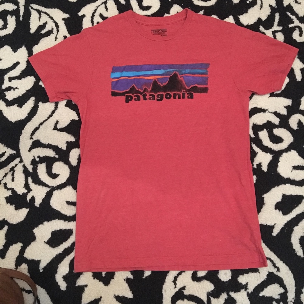 Patagonia T