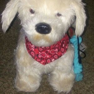 Georgie interractive doggie toy.  Barely ever used