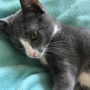 Meet your Posher, Kat