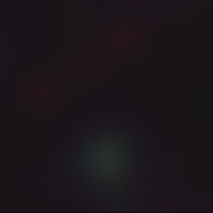 Meet your Posher, Hayden