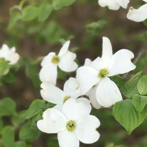 Meet your Posher, Jade