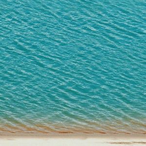 Meet your Posher, Elizha