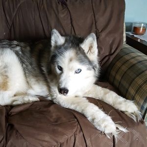 Meet your Posher, Marleen