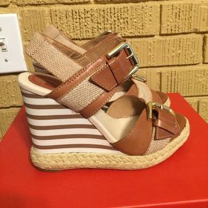 5 | 48 brown striped wedges